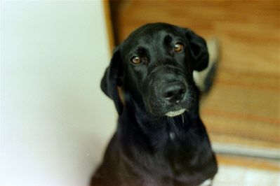 Erna för elva år sedan