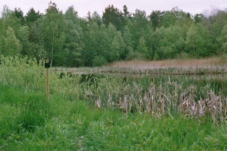Image000_1