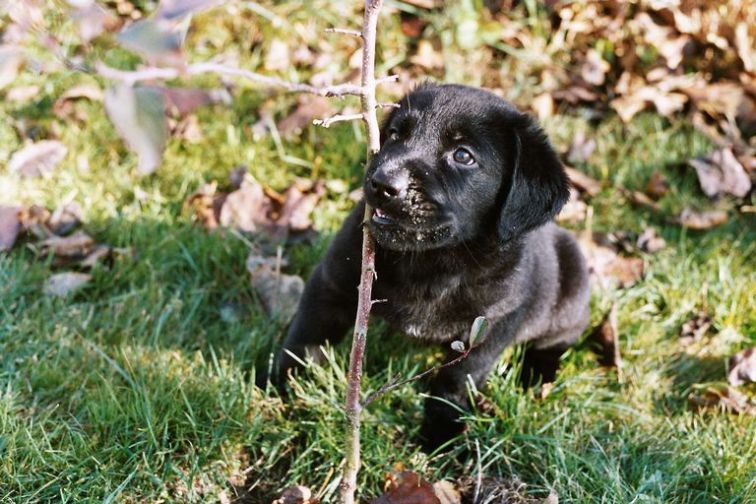 Image004_5