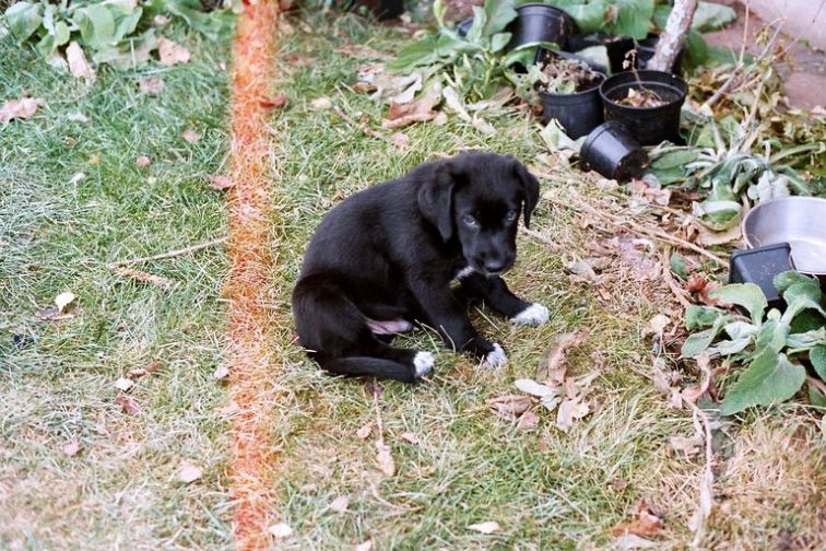 Image010_11