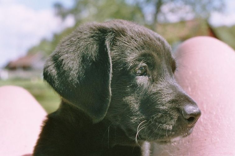 Image011_12