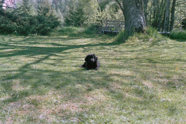 Image019_20