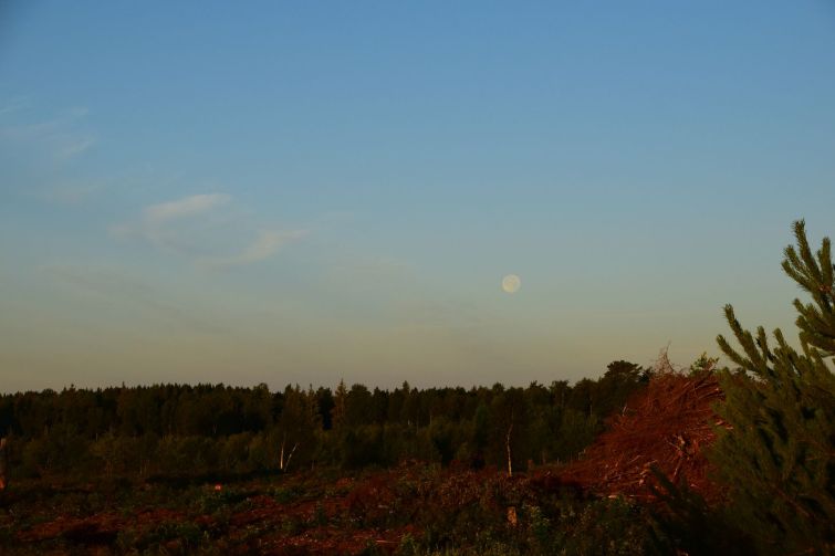 DSC_0010 (3)